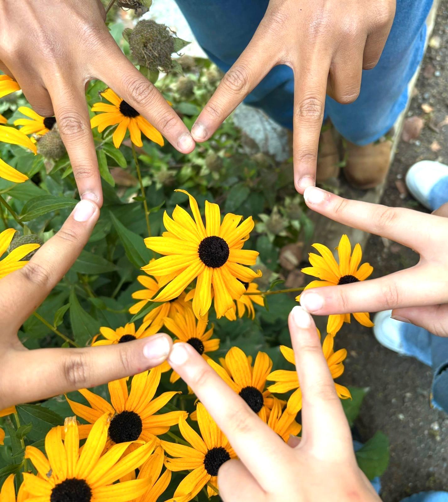 Hands forming a star around yellow flowers